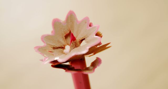 A pencil shaving is creatively presented to resemble a flower, with copy space. Its delicate curls and soft colors evoke a sense of artistry and innovation.