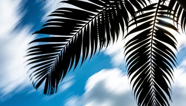 Backlit palm frond silhouettes diagonal pattern over vibrant blue sky with blurred clouds