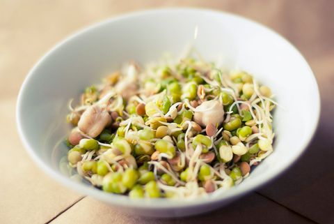 Fresh mixed sprouted beans bowl for healthy vegan protein and plant-based meals