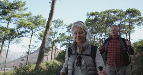 Senior Couple Enjoying Hiking Adventure in Sunny Mountain Forest - Download Free Stock Images Pikwizard.com