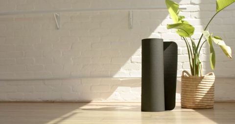 Sunlit Yoga Mat and Potted Plant in Tranquil Interior Space
