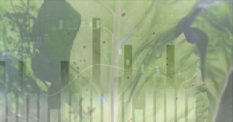 Cabbage leaf overlaying translucent financial charts blending agriculture and market data
