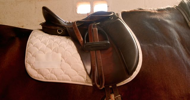 Close-Up of Western Saddle on Horse - Download Free Stock Images Pikwizard.com