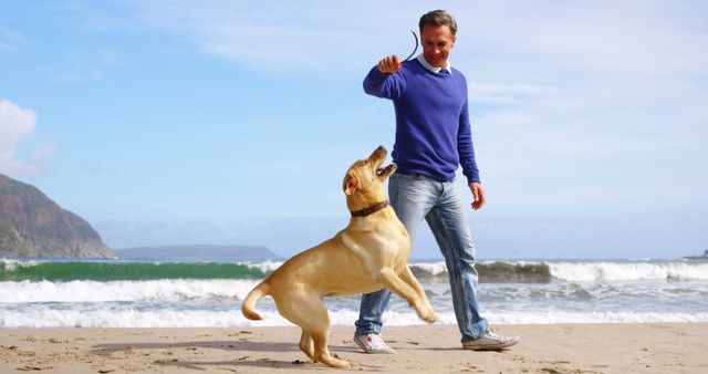 A middle-aged Caucasian man is playing with his dog on a sunny beach, with copy space. He appears joyful as the dog stands on its hind legs, engaging with him against a backdrop of waves and mountains.