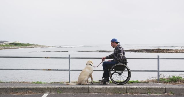 Man in wheelchair with service dog relaxing by seaside pathway - Download Free Stock Images Pikwizard.com