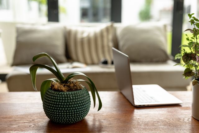 This image features a close-up of a potted plant and a laptop on a wooden table in a cozy living room. The background includes a comfortable sofa with cushions, creating a warm and inviting atmosphere. Ideal for use in articles or advertisements related to home office setups, interior design, remote work, or creating a comfortable living space.