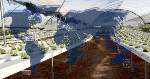 Hydroponic lettuce growing in greenhouse with world map overlay