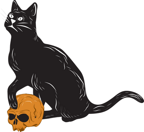 Stylized black cat with orange skull on transparent background
