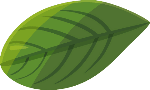 Green Stylized Leaf with Transparent Background for Eco-Friendly Design - Download Free Stock Videos Pikwizard.com