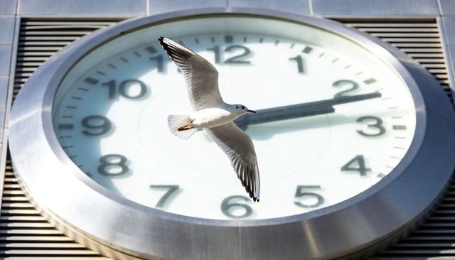 Seagull flying across oversized metal clock face on modern facade casting shadow