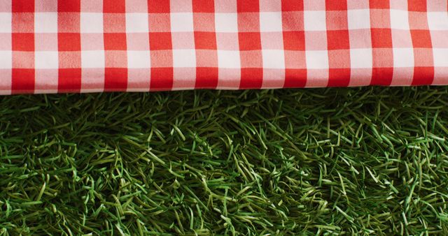 Red Checkered Picnic Blanket on Green Grass - Download Free Stock Images Pikwizard.com