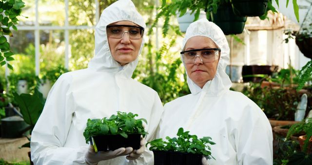 Portrait of female scientists holding pot plant in greenhouse