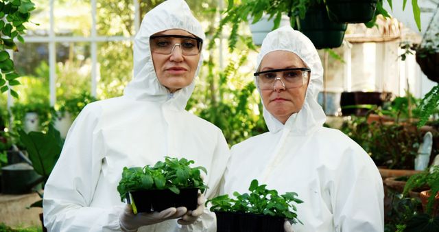 Scientists in protective suits holding plant samples in greenhouse - Download Free Stock Images Pikwizard.com