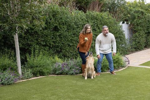 Couple playing fetch with golden retriever on green lawn near purple blooms
