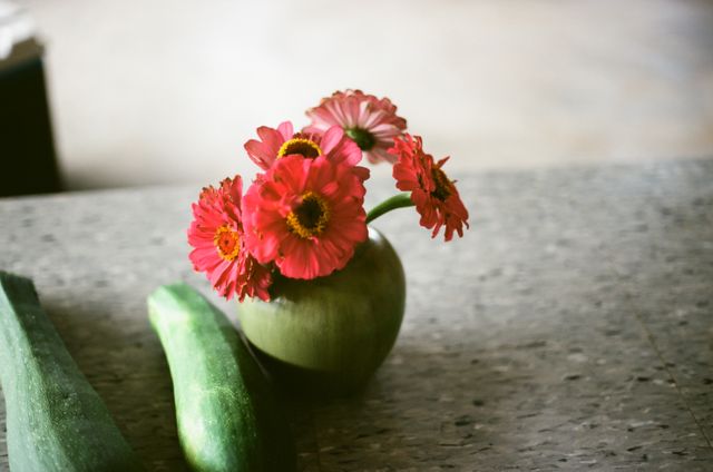 Red gerbera daisies arranged in a small vase placed on a table next to cucumbers. Soft natural light illuminates the scene. Ideal for use in blogs or articles about home decor, floral arrangements, or fresh produce. Can also be used to convey themes of simplicity, freshness, and nature.