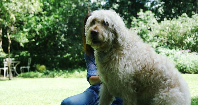 Person enjoying time with a large, furry dog in a lush garden, suggesting tranquility and companionship. Could be used for pet care, outdoor activities, personal blogs, or promo materials centered around nature and relaxation.