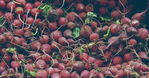Fresh Red Radishes with Hay Assortment in Farmers Market Display