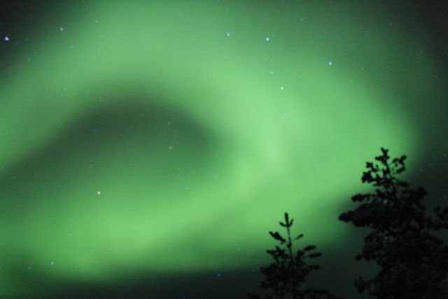 Mesmerizing green northern lights dance over silhouetted pine trees with stars in the background. Perfect for nature, travel, and astronomy-focused uses or as a stunning visual for blogs, articles, and magazines highlighting natural phenomena or bucket list adventures.