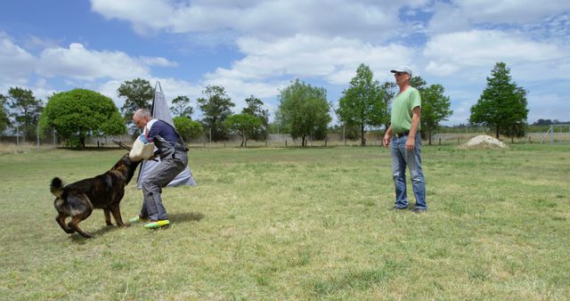 Dog Training Session Outdoors with Trainer and Observer - Download Free Stock Images Pikwizard.com