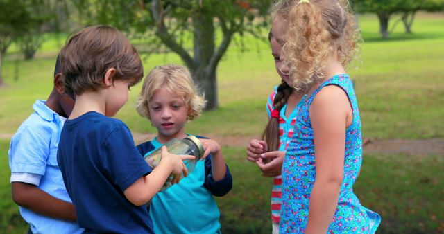 Kids admiring turtle in park on sunny day - Download Free Stock Images Pikwizard.com