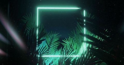 Glowing neon square with tropical palm foilage