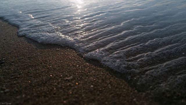 Foamy wave lapping grainy sand at sunset shoreline with glistening wet grains and gentle ripples