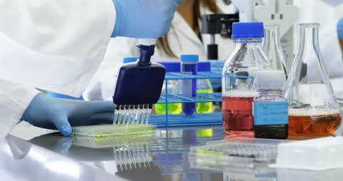 Scientists Conducting Experiments with Multi-Channel Pipette in Modern Laboratory