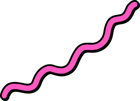 vibrant pink wavy line design on transparent background - Download Free Stock Videos Pikwizard.com