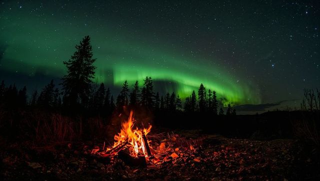 Campfire Burning Under Dancing Northern Lights Over Boreal Forest at Starry Wilderness