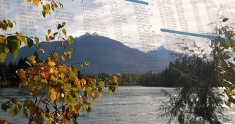 Backlit autumn leaves over river with data overlay highlighting environmental monitoring