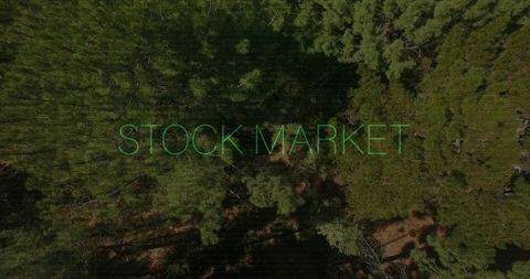 Neon STOCK MARKET Text Floating Over Aerial Evergreen Canopy with Sunlit Trails