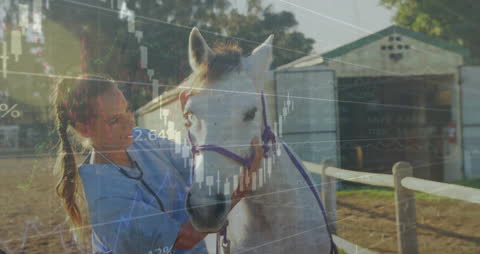 Financial Data Overlay on Horse and Trainer Outdoors