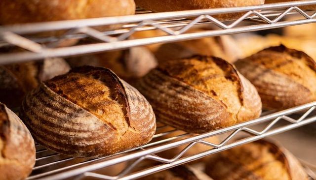 Cooling artisan sourdough loaves on chrome rack with rustic crust, scoring, spiral texture