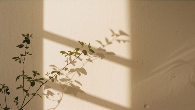 Slender branch casting leaf shadows across sunlit textured beige wall with window light