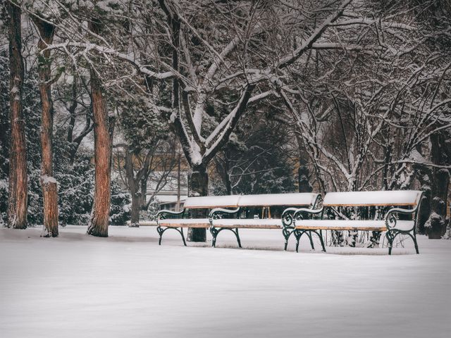 Captures empty park benches covered in snow, surrounded by trees with branches coated with white snow. Ideal for use in winter-themed projects, seasonal greetings cards, relaxation and tranquility concepts, or advertisements for winter clothing and outdoor gear.
