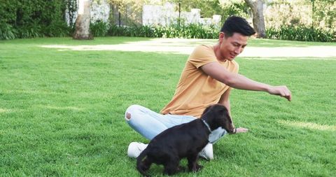 Young Man Bonding with Puppy on Sunny Day