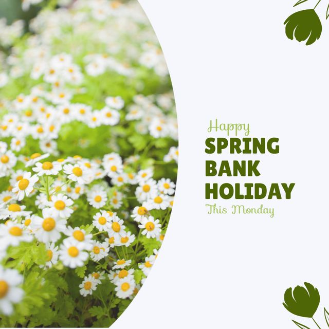 Bright and cheerful greeting card featuring a field of daisies with a message wishing a happy Spring Bank Holiday. Ideal for social media posts, holiday announcements, digital greetings, or printed cards. The floral design signifies the joy of summer and the freshness of spring.
