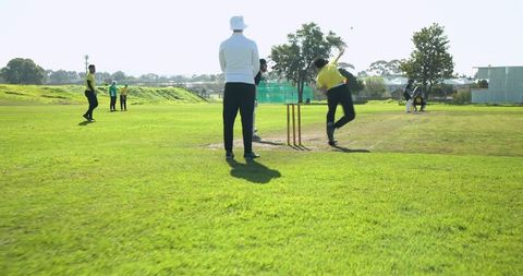 Cricket players competing on sunny field