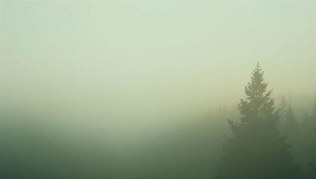 Misty evergreen silhouette on hillside minimalist foggy forest background with copy space