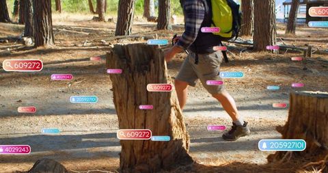 Hiker exploring pine forest with digital navigation overlays