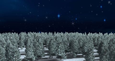 Starry Night Sky Over Snow-Covered Trees in Winter