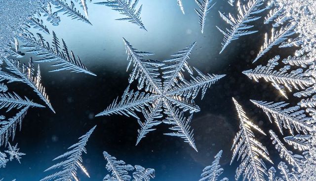 Six-arm star frost crystal forming on backlit window with feathery dendritic ice patterns