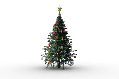 transparent background christmas tree with red ornaments vector - Download Free Stock Videos Pikwizard.com