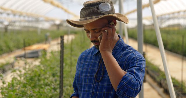 Farmer wearing a plaid shirt and hat stands in a greenhouse full of plants while communicating on a mobile phone. Suitable for use in articles about modern farming methods, agricultural technology, agribusiness communication tools, and crop management strategies. It highlights the integration of technology in traditional farming practices.