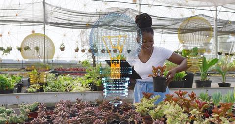 Greenhouse tech: worker inspects succulent using tablet hologram