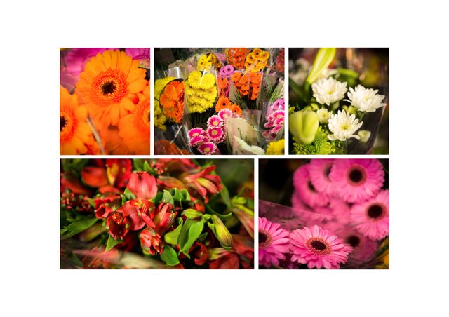 Vibrant assortment of orange, pink, red, white and yellow flowers in bloom showcasing a variety of beautiful floral arrangements. Ideal for use in invitations, greeting cards, floral articles, and websites related to floristry, nature, celebrations, and seasonal promotions. Perfect for adding a pop of color and freshness to marketing materials, blogs, and social media posts.