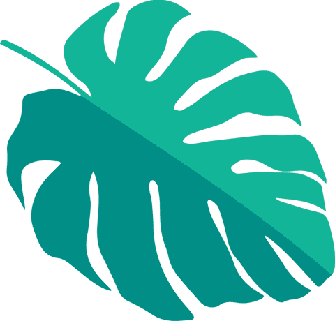 transparent monstera leaf in two green tones - Download Free Stock Videos Pikwizard.com