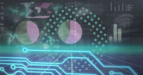 Dynamic digital interface with data visualizations and circuits