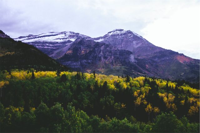 Serene view of snowy mountain peaks and lush forest in autumn - Download Free Stock Photos Pikwizard.com