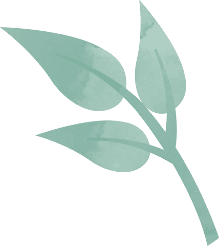 Watercolor plant branch with mint green leaves on transparent background